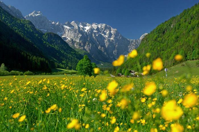 Entire Loft Close To Beautiful Logar Valley Recica ob Savinji Экстерьер фото